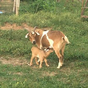 Meet your Posher, Erika